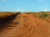 200304 316 Madagascar