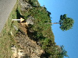 200304 337 Madagascar