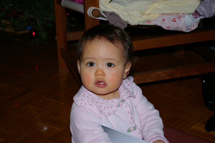 IMGP0002