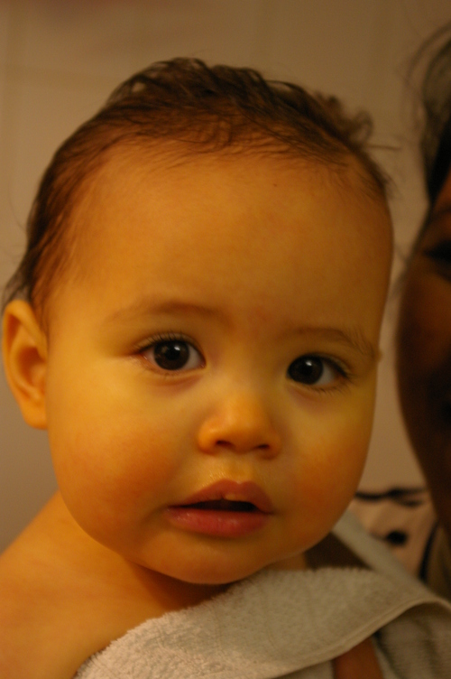 IMGP0081