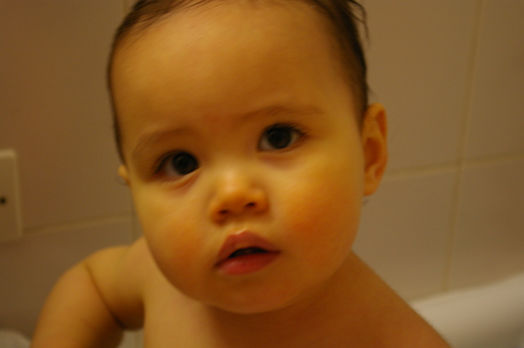 IMGP0082