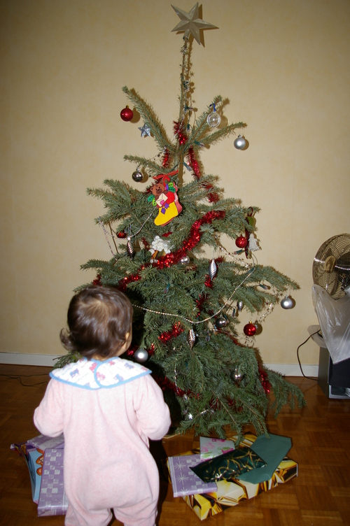 IMGP0090