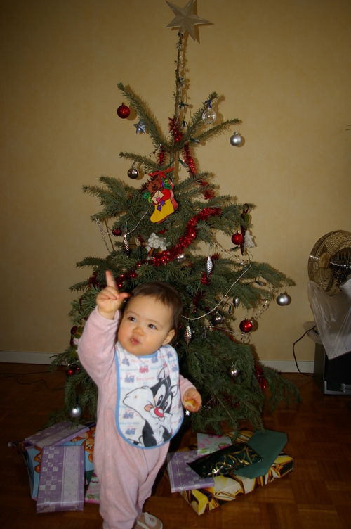 IMGP0092