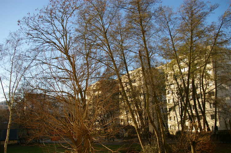 IMGP0093