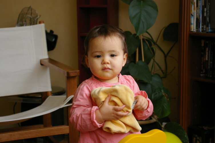 IMGP0254