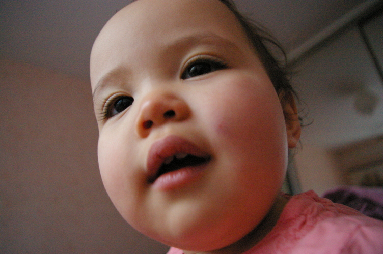 IMGP0266