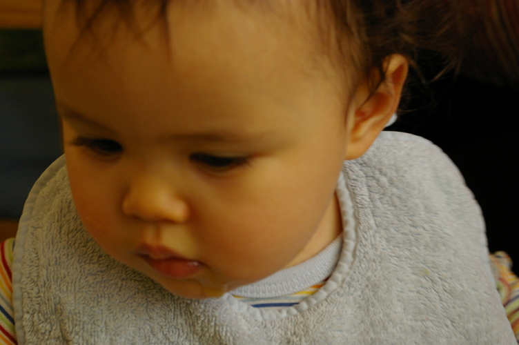 IMGP0631