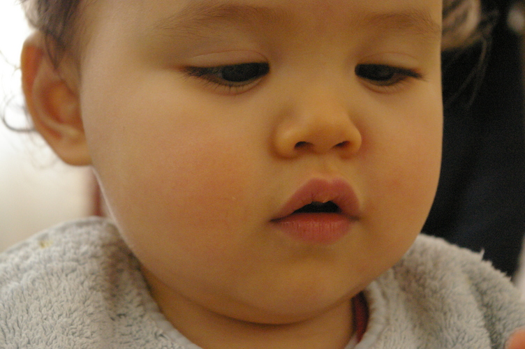 IMGP0642