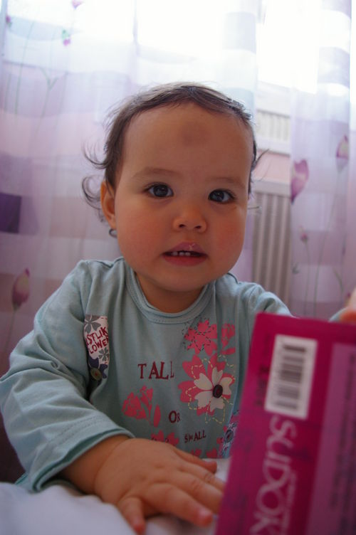 imgp0915