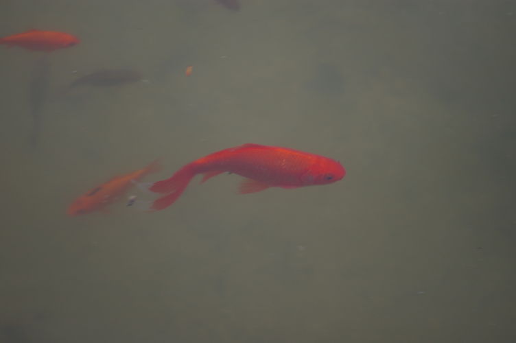 imgp1001