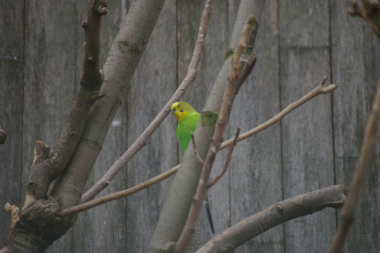 imgp1399
