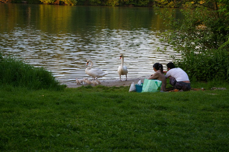 imgp1640