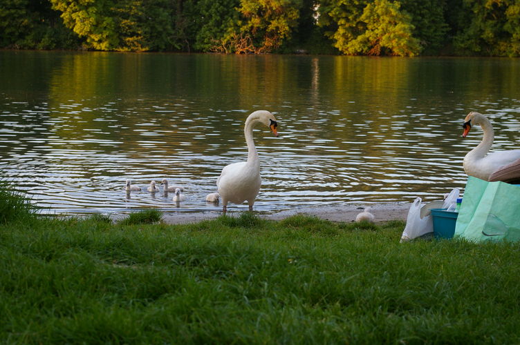 imgp1642