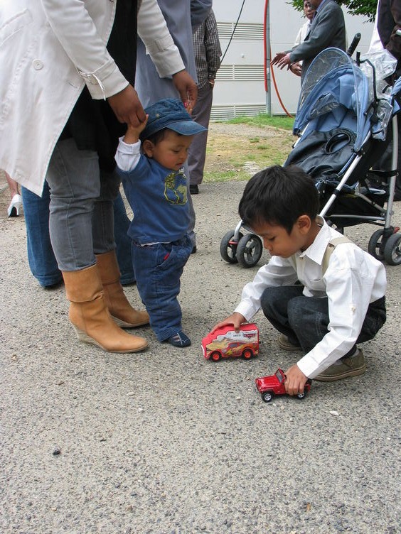 img 7461