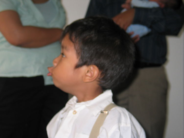 img 7485