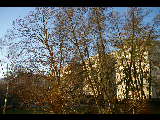 IMGP0093
