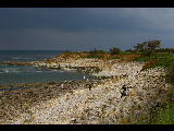imgp1467