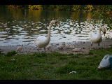 imgp1643