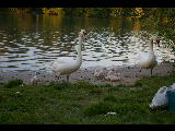 imgp1644